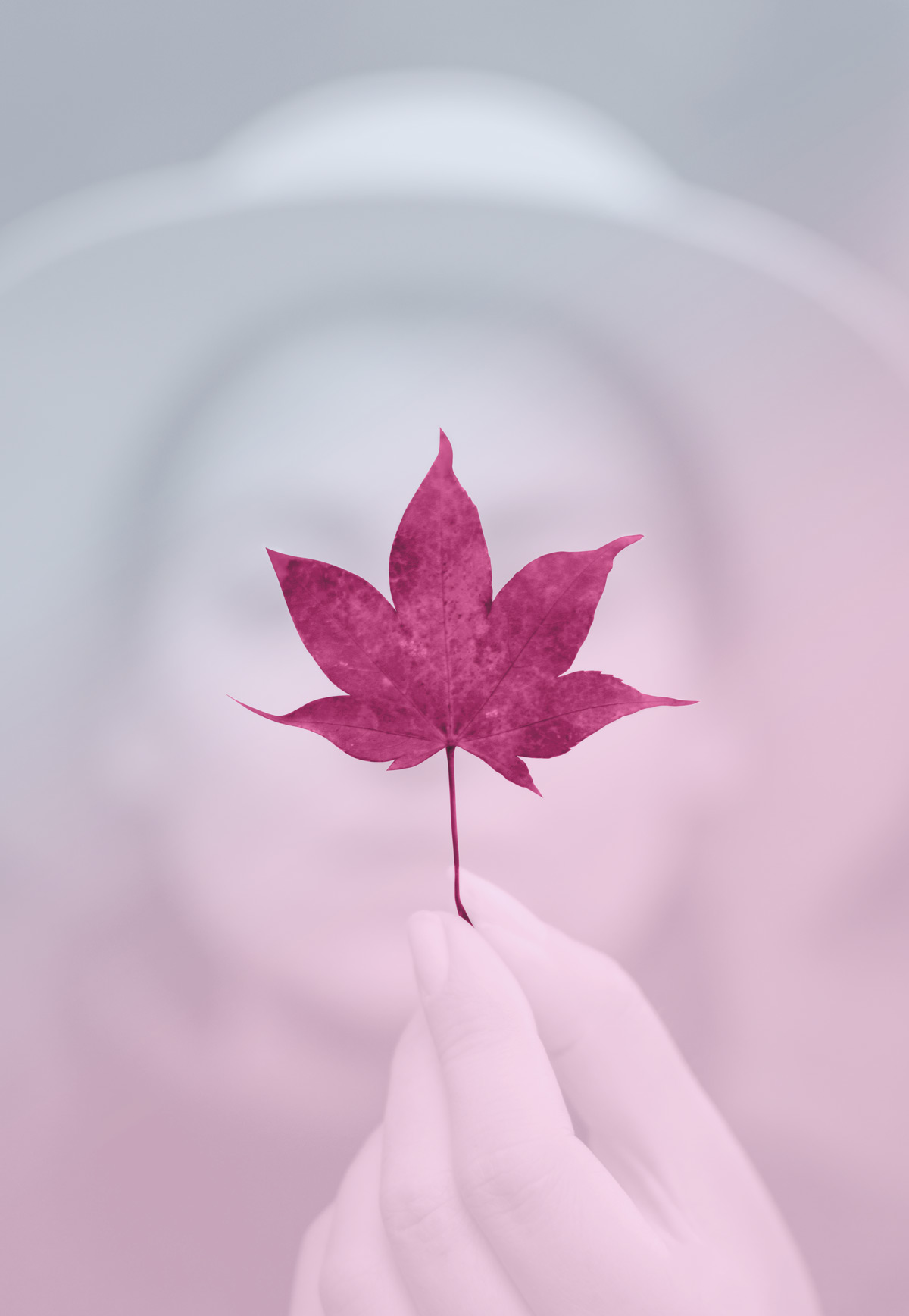 woman holding maple leaf