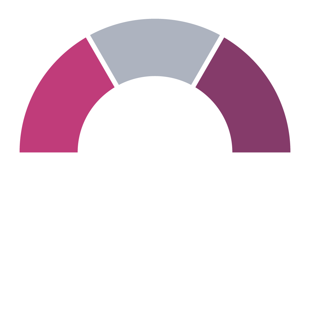 gauge-1 gauge