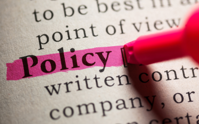 Build now: how fast should policy move?
